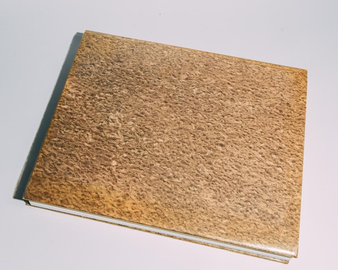 RICHARD MISRACH CHRONOLOGIES　写真集