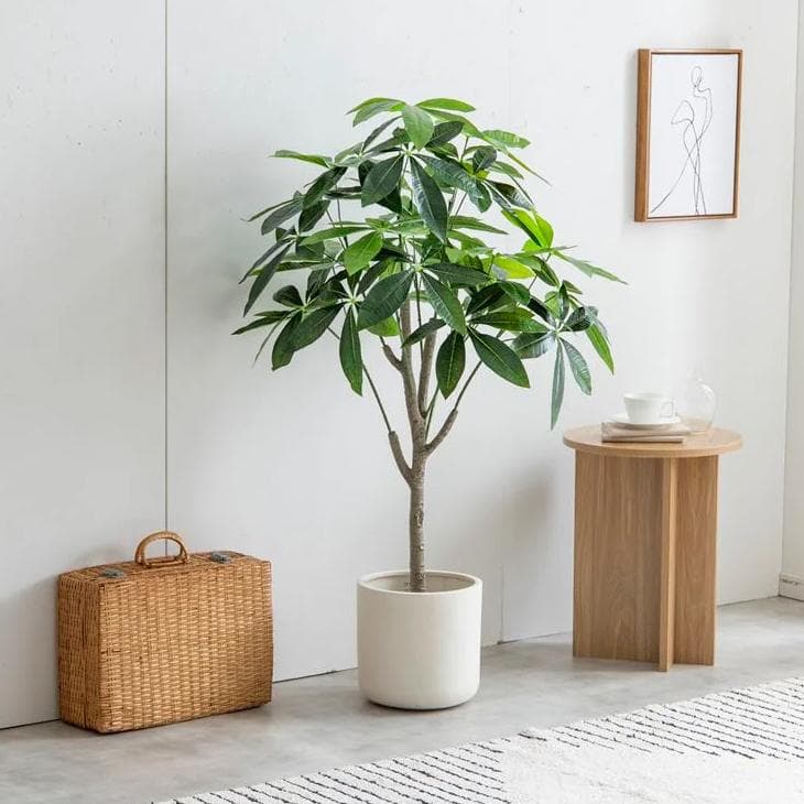 【光触媒/抗菌防臭】人工観葉植物 室内グリーン パキラ 高さ120cm