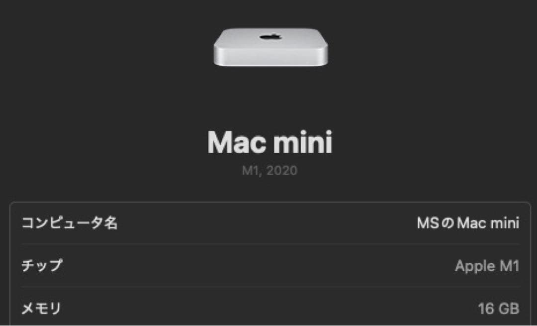 Macmini M1 16GB 2TB 10Gb Ethernet フルスペック