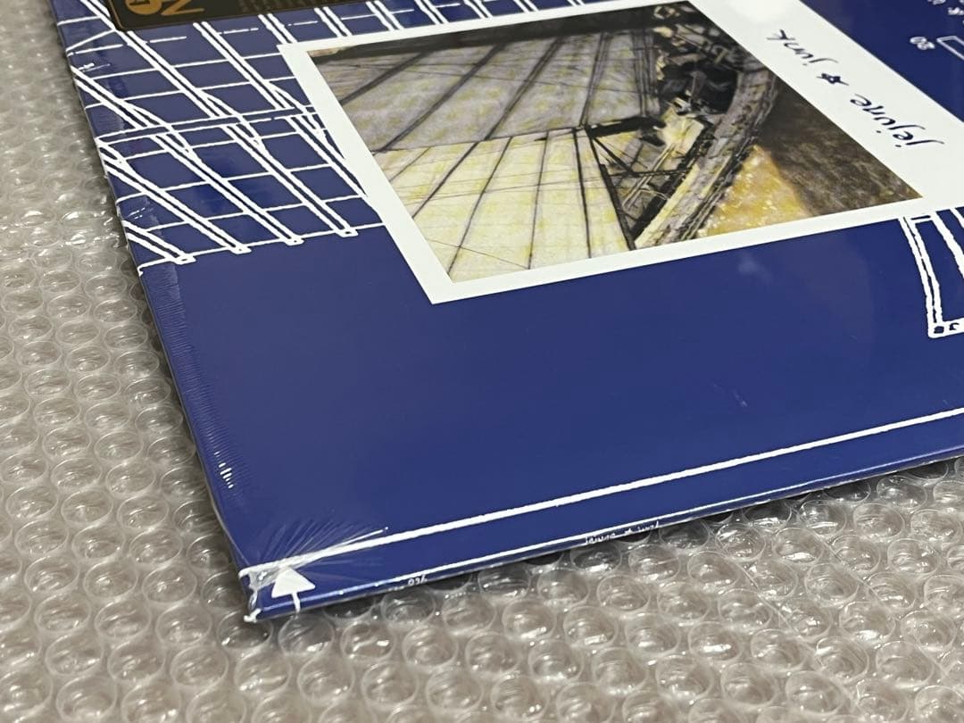 新品 Jejune / Junk This Afternoons malady