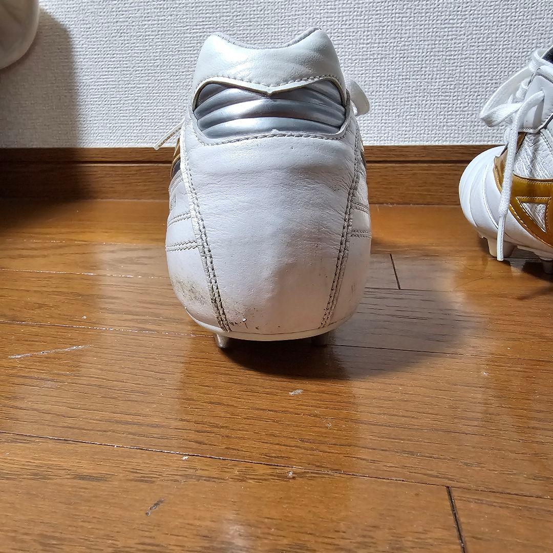 サトちゃん様　モレリア2足