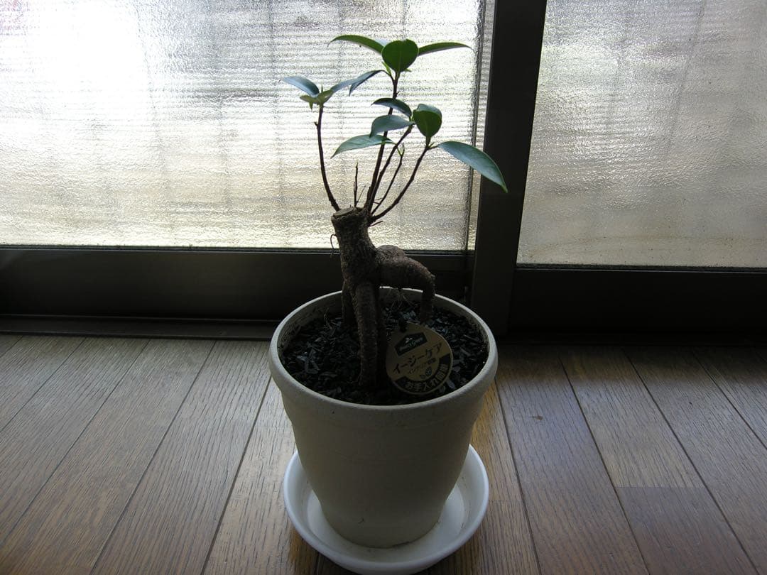 ① ニコン　COOLPIX 8400 動作品　純正バッテリー充電器付き