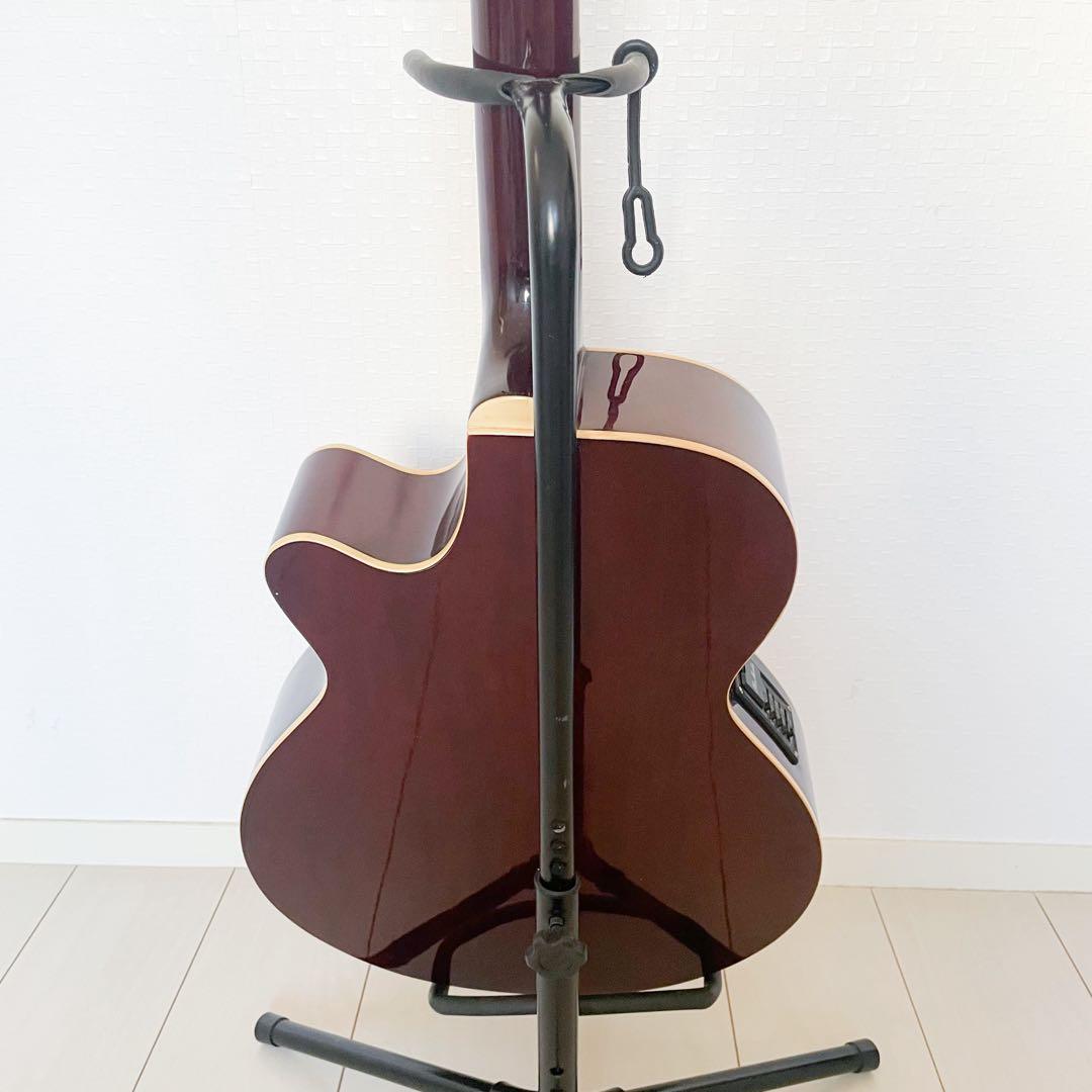 Pro Martin　custom　　EA500W　WRS エレアコ　ギター