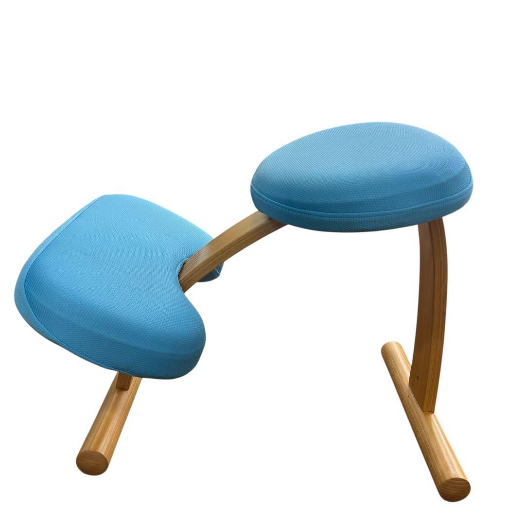 【即日発送 美品】サカモトハウス バランスイージー カバー付き