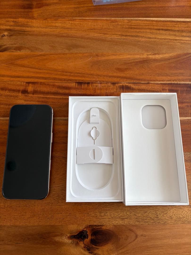 Apple iPhone 16Pro 256gb SIMフリー 液晶漏れ