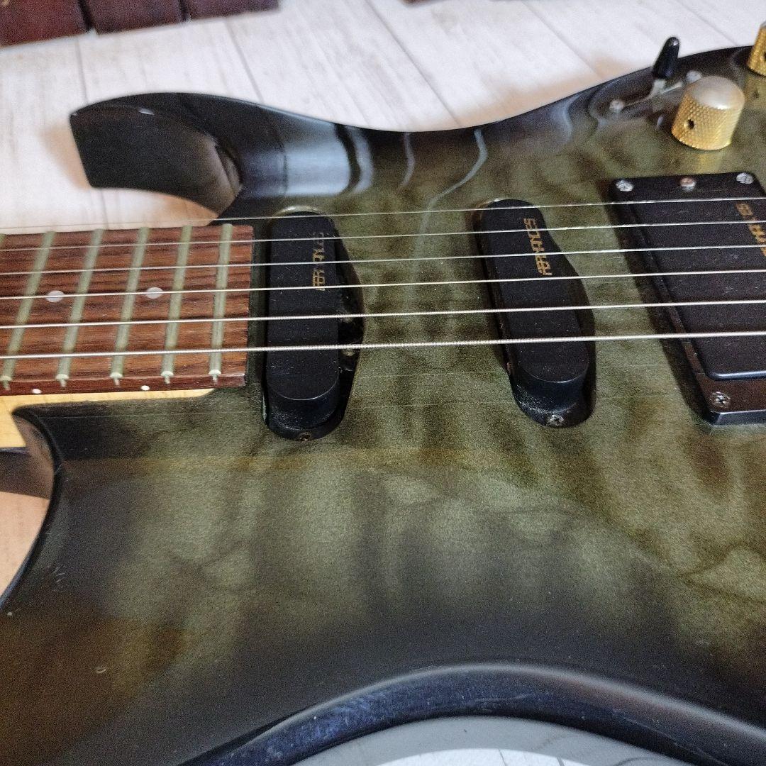 ギター FERNANDES