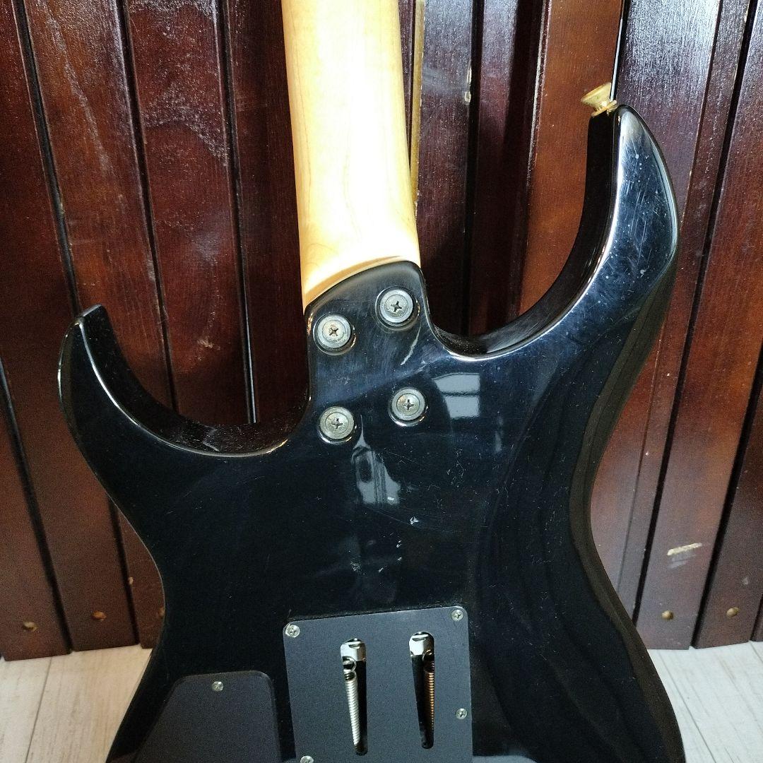 ギター FERNANDES