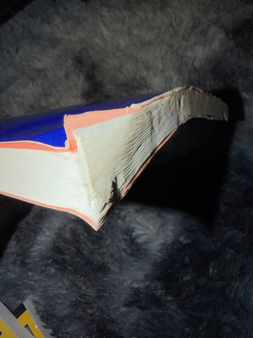 標準理学療法学・作業療法学 生理,解剖,老年,精神医学,神経内科,小児等セット