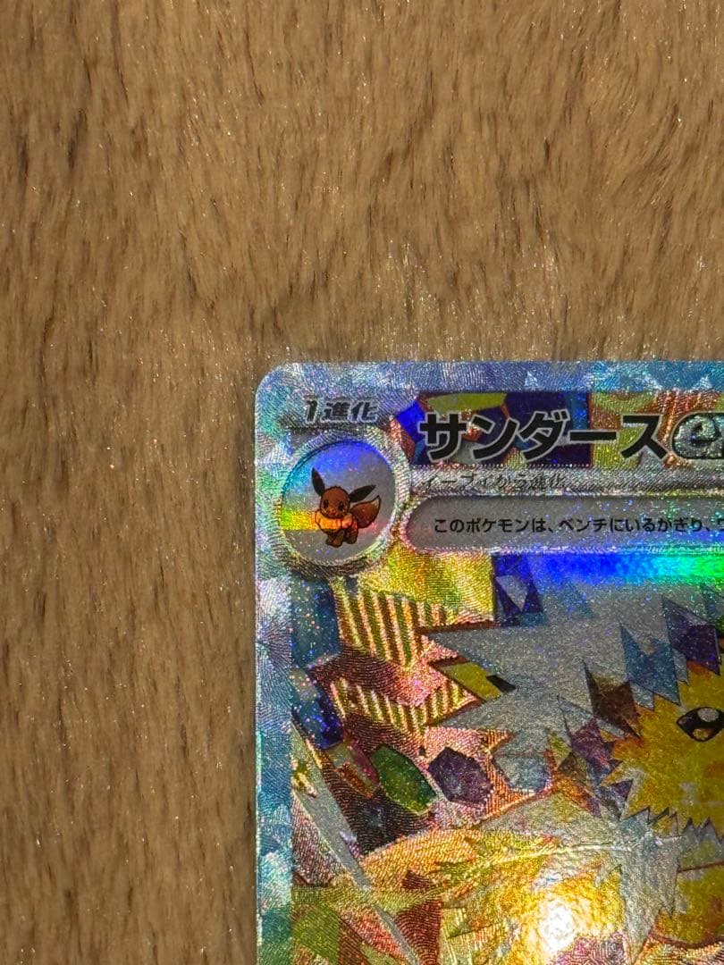 サンダースEX & ブースターEX セット