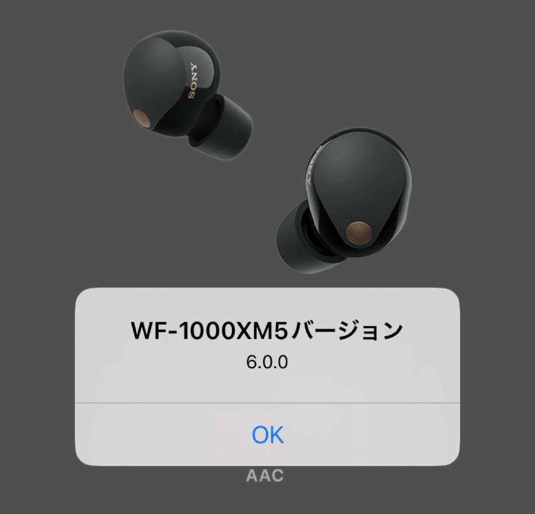 【美品】sony wf-1000xm5【右イヤホン・ブラック】ver6.0.0