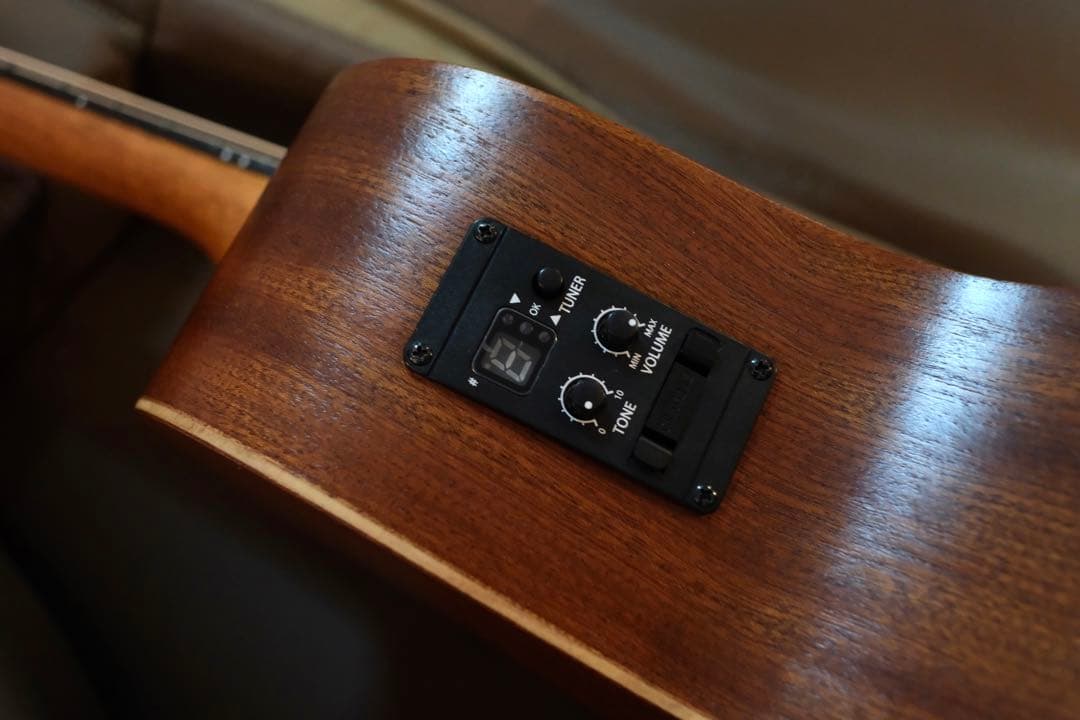 Taylor GS mini-e Mahogany ピックアップ付