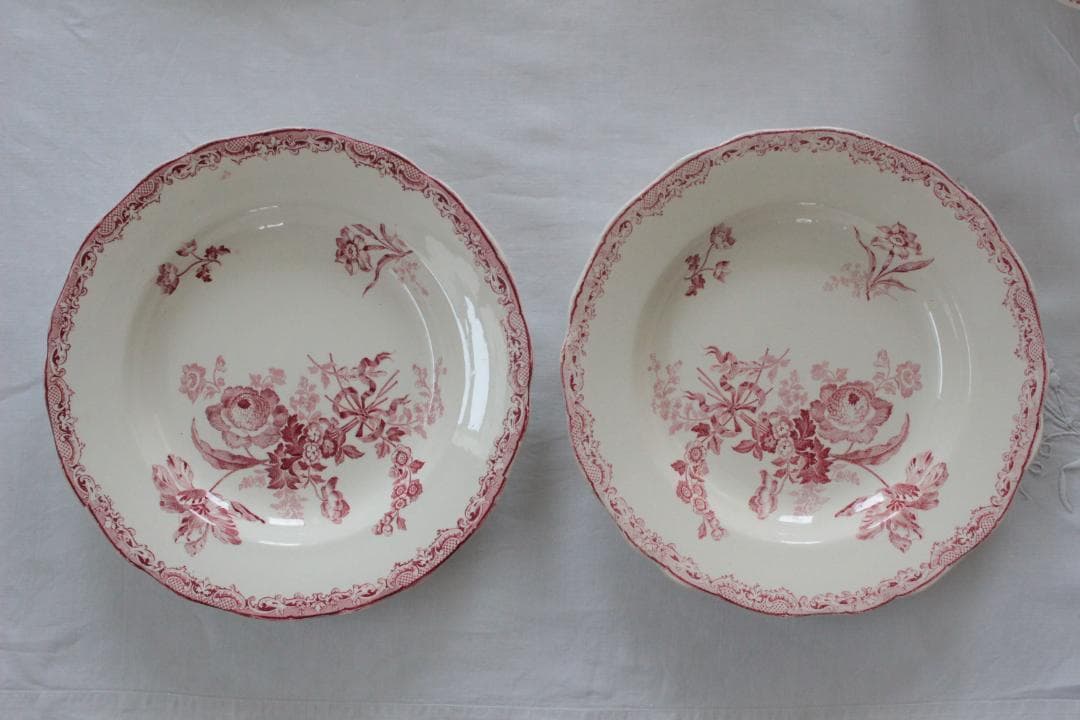 【B】【サルグミンヌ】フォンタンジュスーププレート /フランスアンティーク