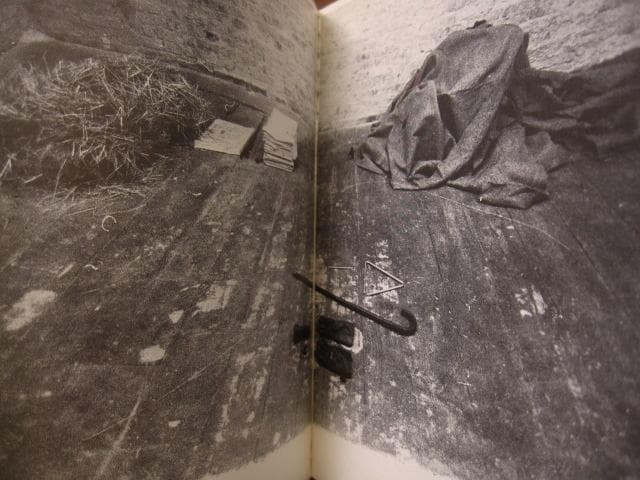 Aus Berlin neues vom kojoten　ヨーゼフ・ボイス