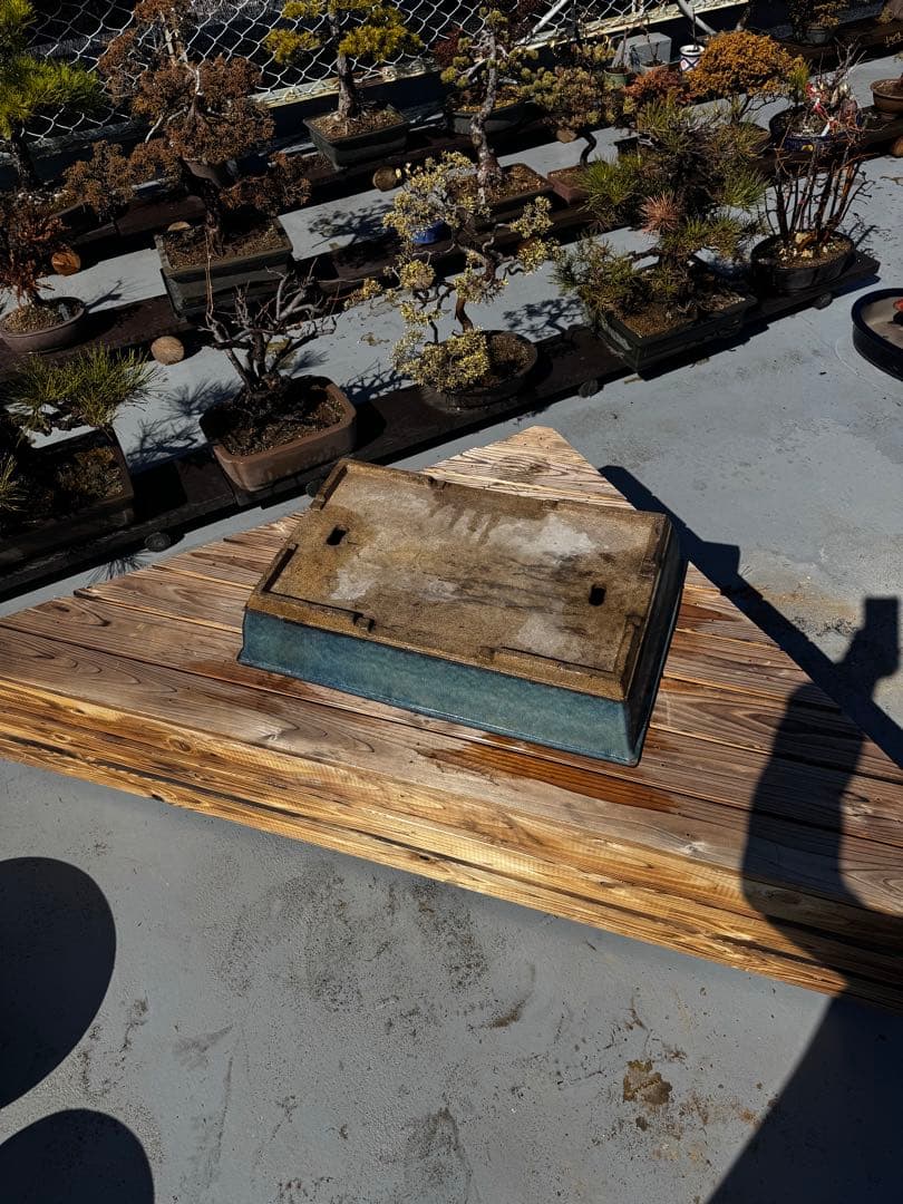 青色 陶器製 盆栽用鉢 22号