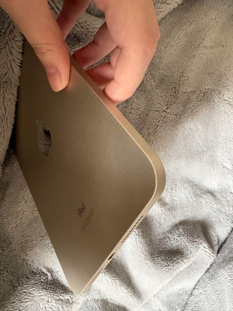 iPad mini6 64GB スターライト 美品 本体＋保護ケース（付属品なし