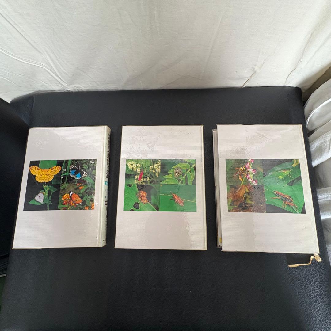 沖縄昆虫野外観察図鑑 増補改訂版 全7巻セット