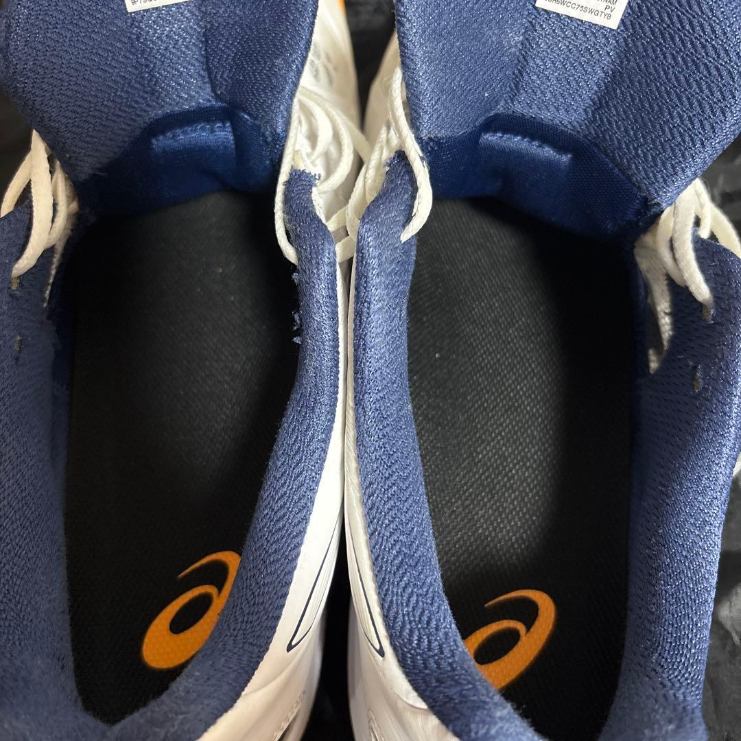 ASICS SKY ELITE FF 2 29センチ