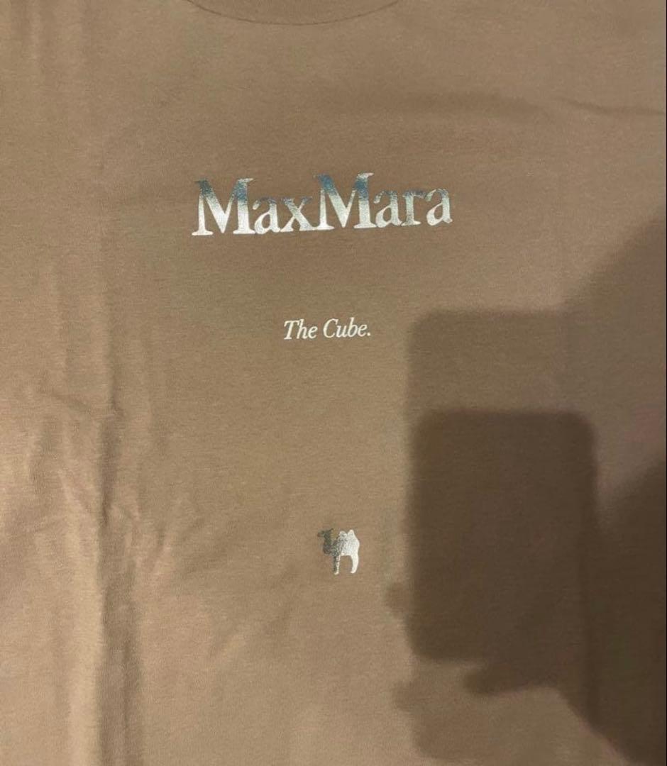 MaxMara エス　マックスマーラ　コットンジャージTシャツ