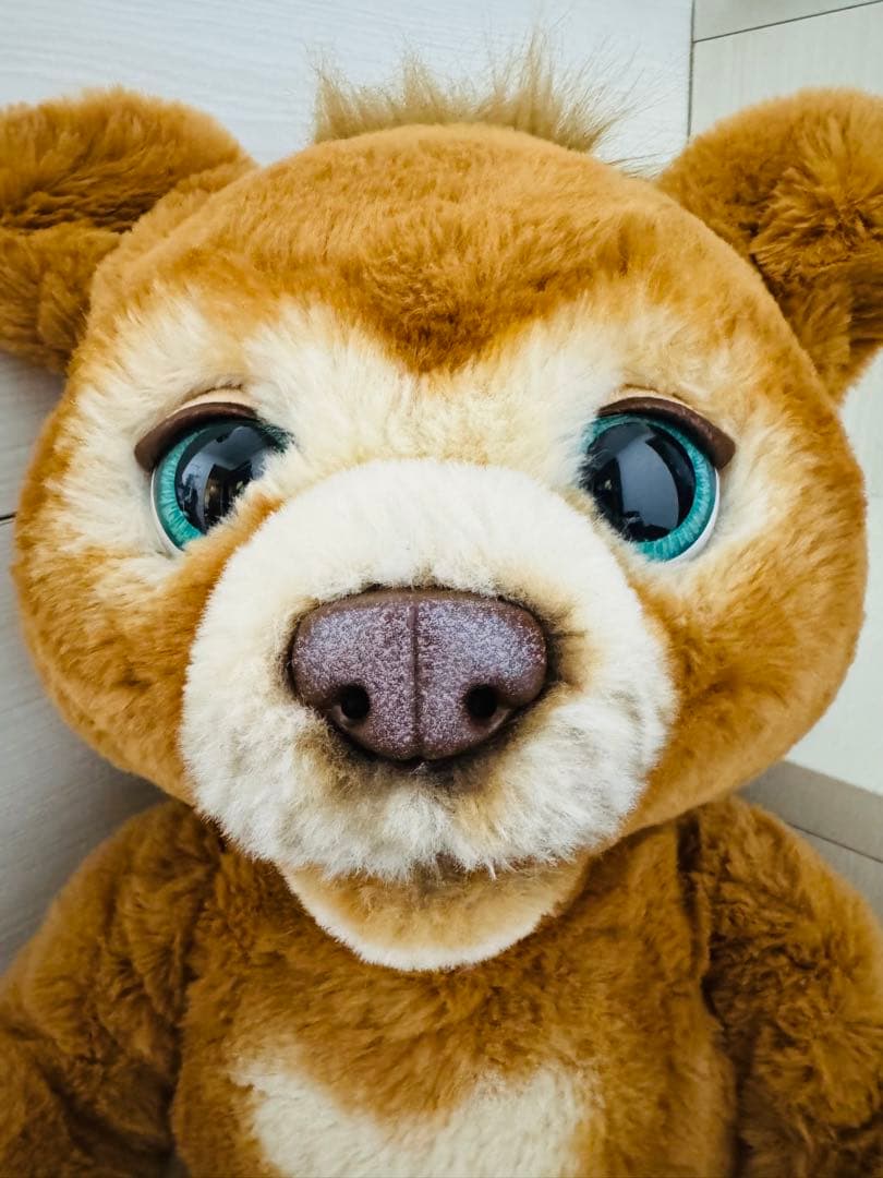 ファーリアル★遊ぶのだいすき こぐまのカビー