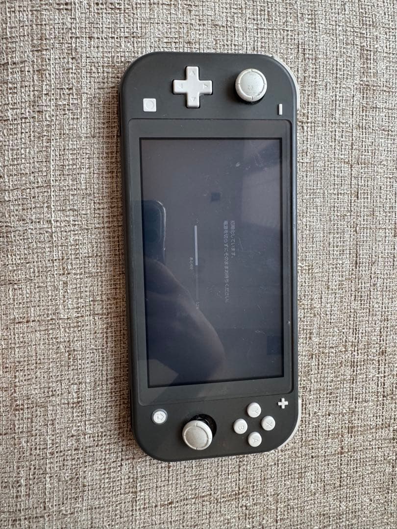 最終価格　Nintendo Switch Lite グレー 本体　本体のみ