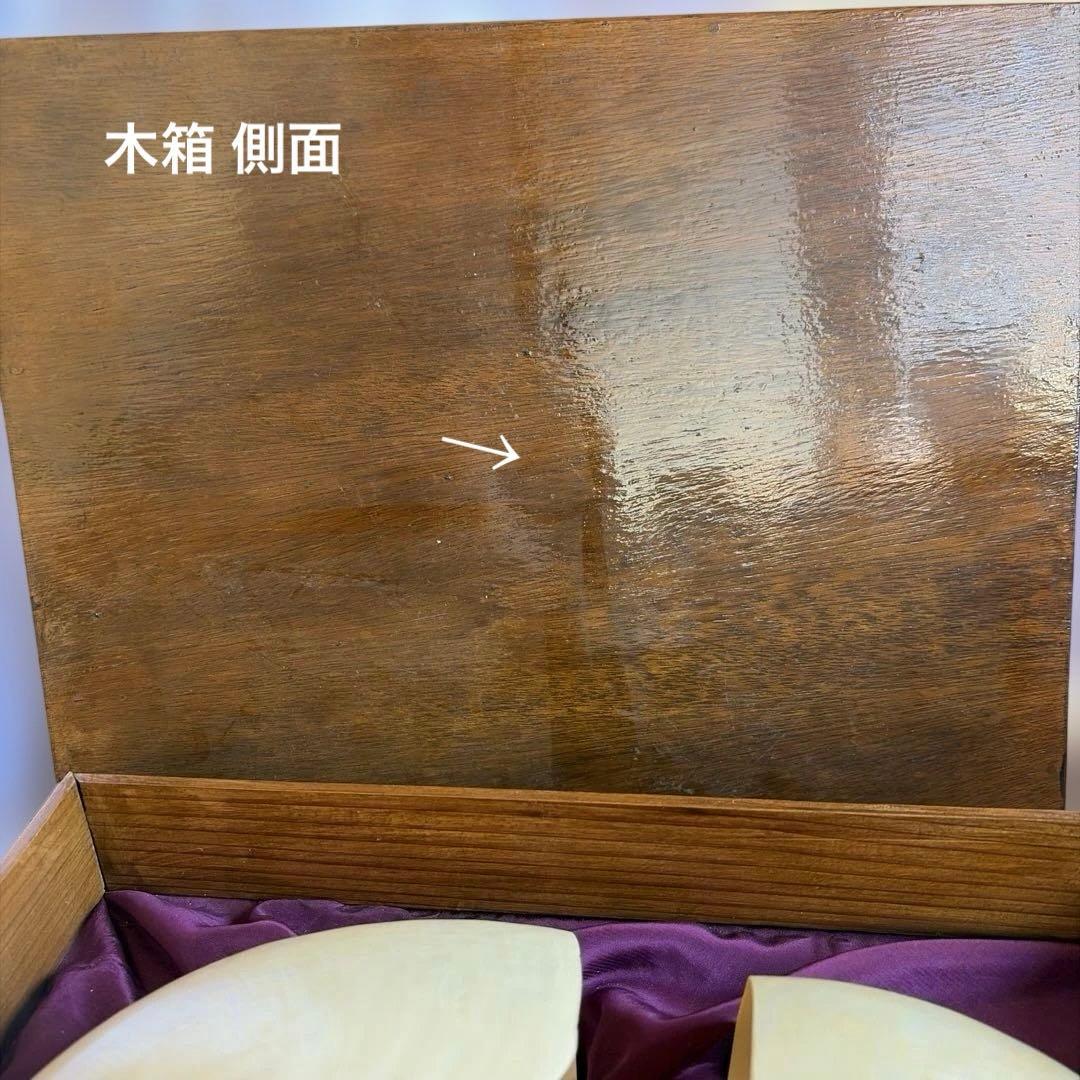 オウムガイの殻