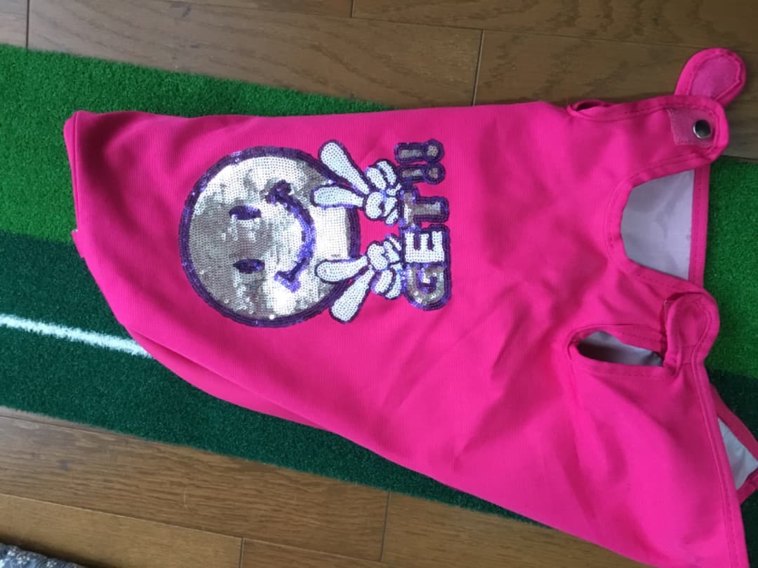 美品　豪華品　キャディーバッグ