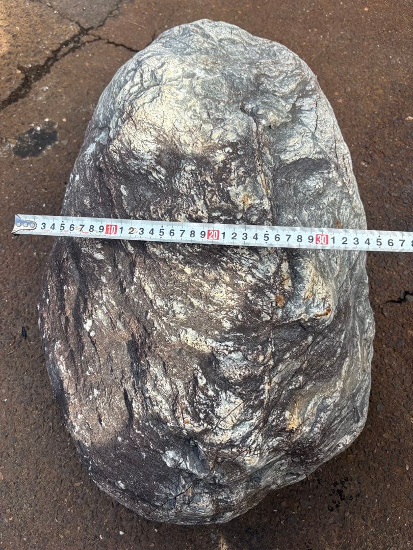 小滝川採取 天然石 庭石 約80cm級 真贋不明