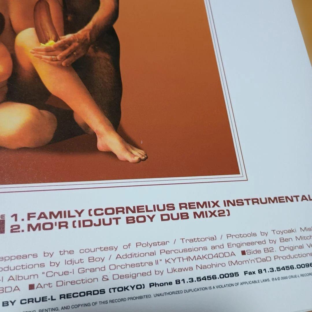 レコード２枚組　クルーエル　グランド　オーケストラ　コーネリアス