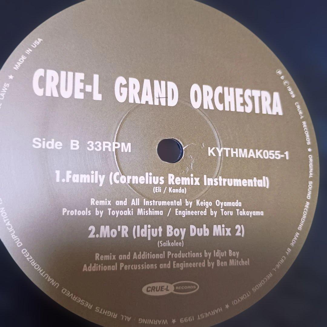 レコード２枚組　クルーエル　グランド　オーケストラ　コーネリアス