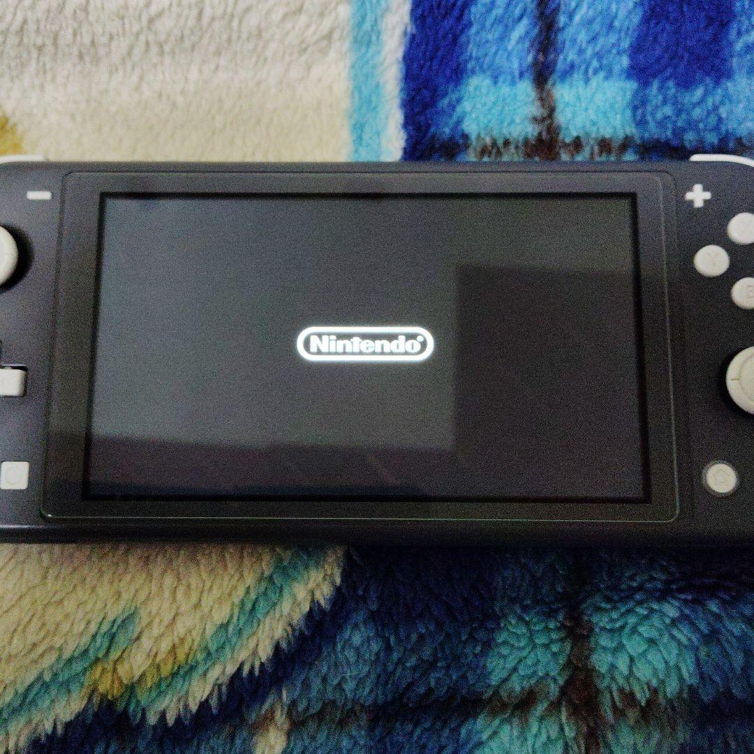 Switchliteジャンク品