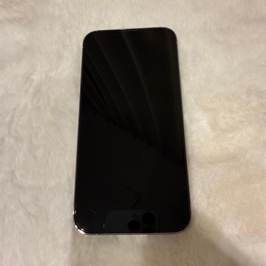 iPhone 13 Pro Max 256GB シルバー