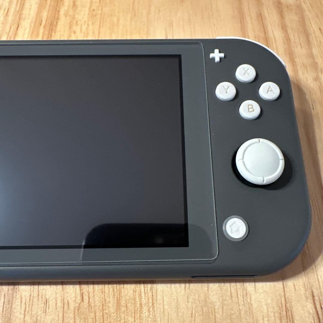 Nintendo Switch LITE グレー　ソフトケース付き