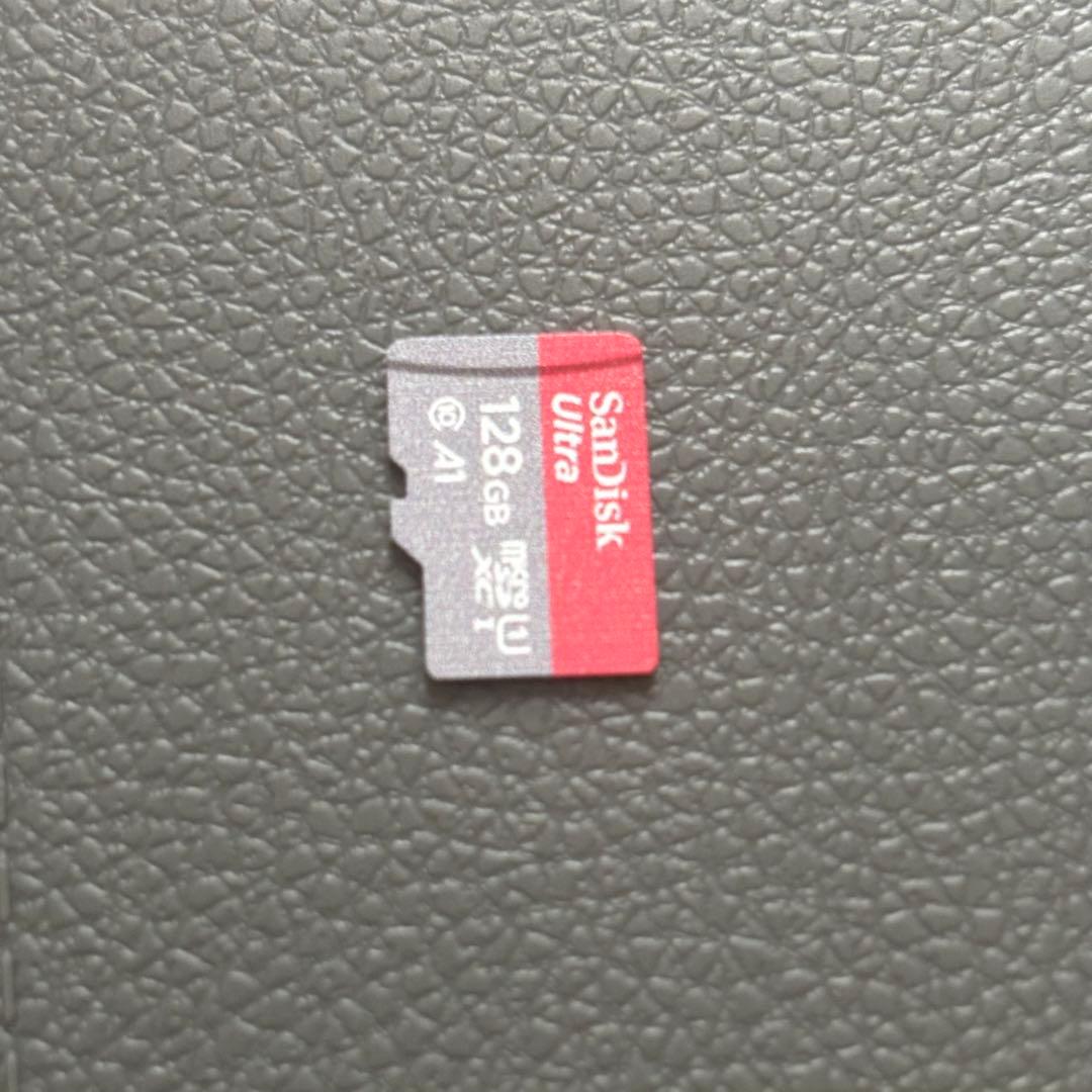 Nintendo Switch Lite グレー 本体 ケース、SD付き