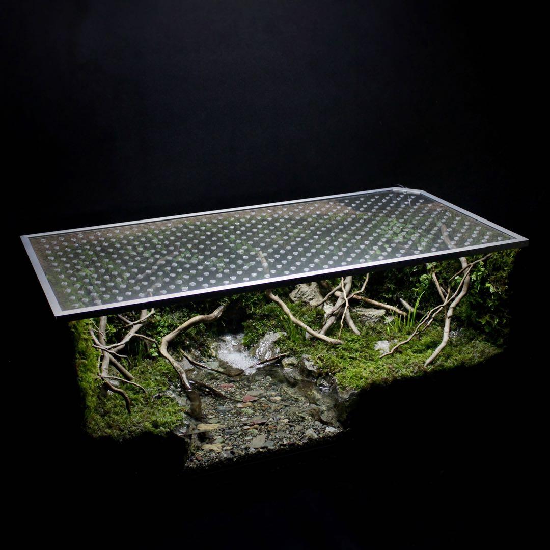 夕方　オーダー作品　アクアテラリウム　イモリウム