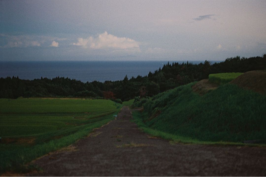 【美品】 沈洞ズミクロンMマウント50mm F2 ライカ 作例あり