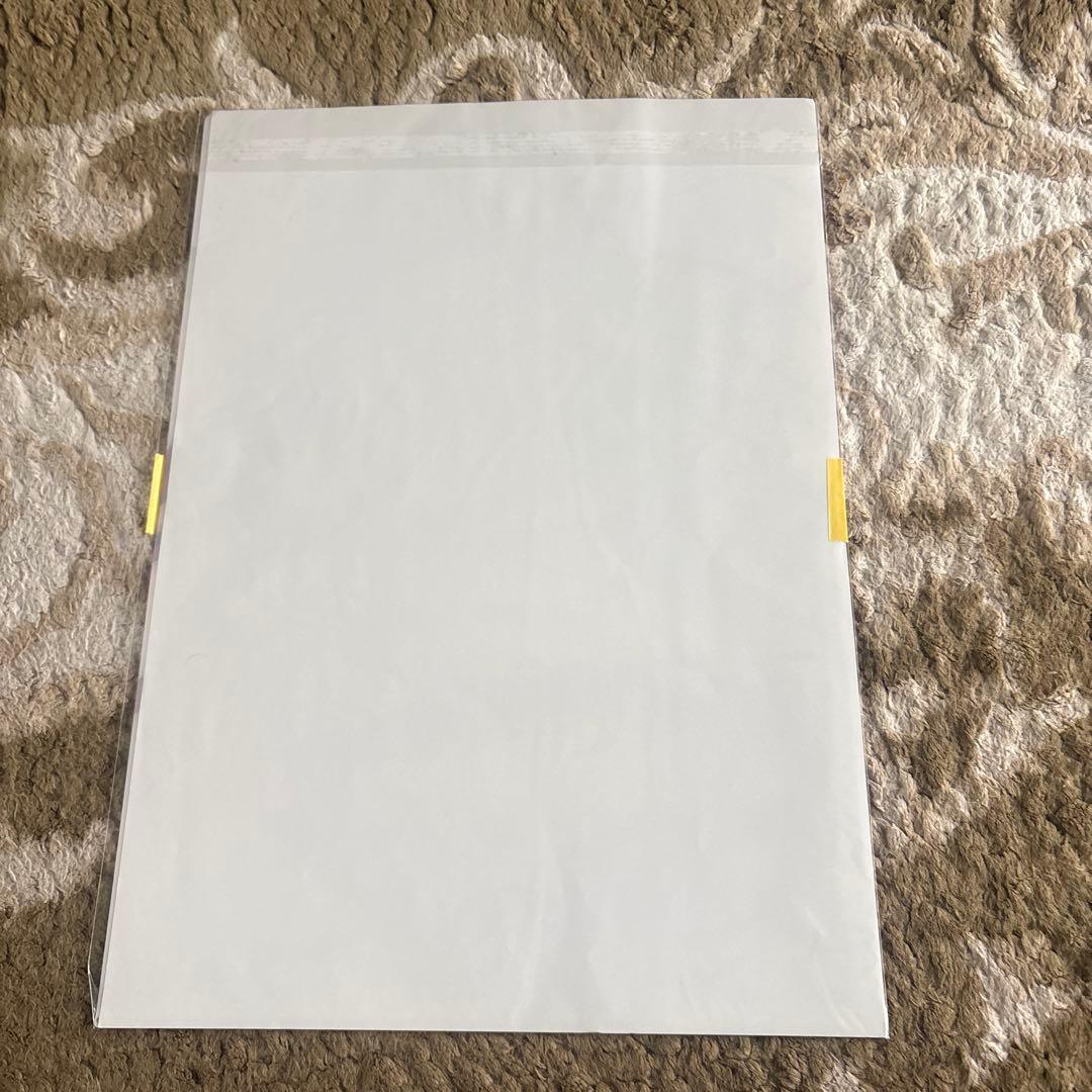 A3 ハイスクールD✕D リアス　非売品クリアファイル