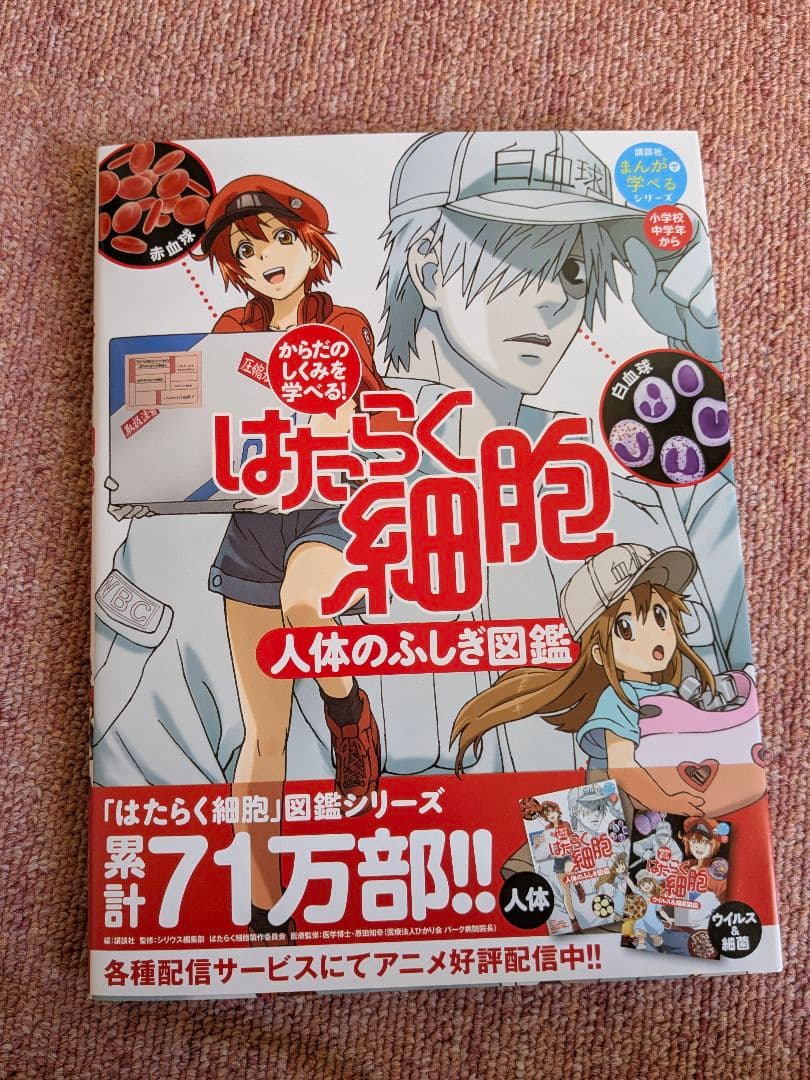 キリン はたらく細胞 缶（当選品）A賞【非売品】
