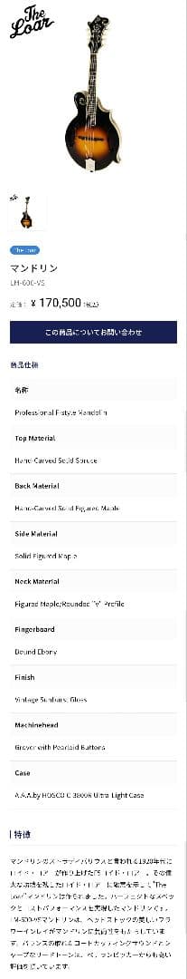 The Loar フラットマンドリン