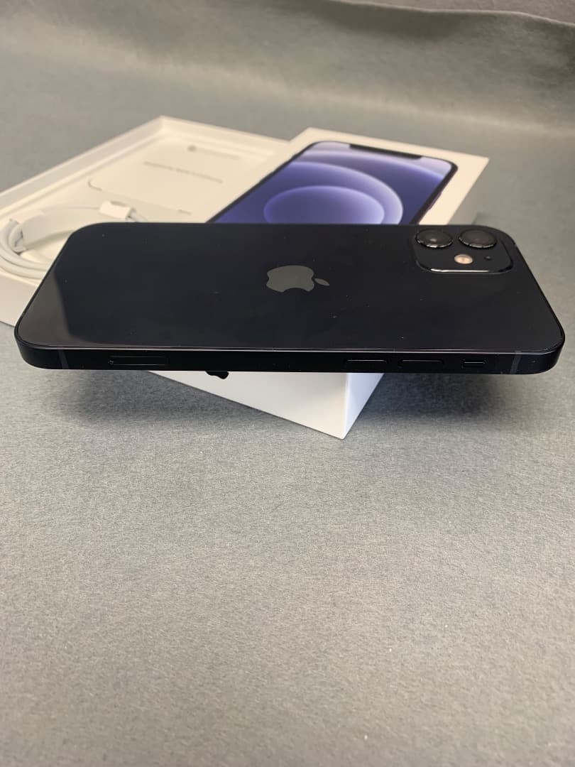 美品　国内版　SIMフリー　iPhone12 64GB ブルー色