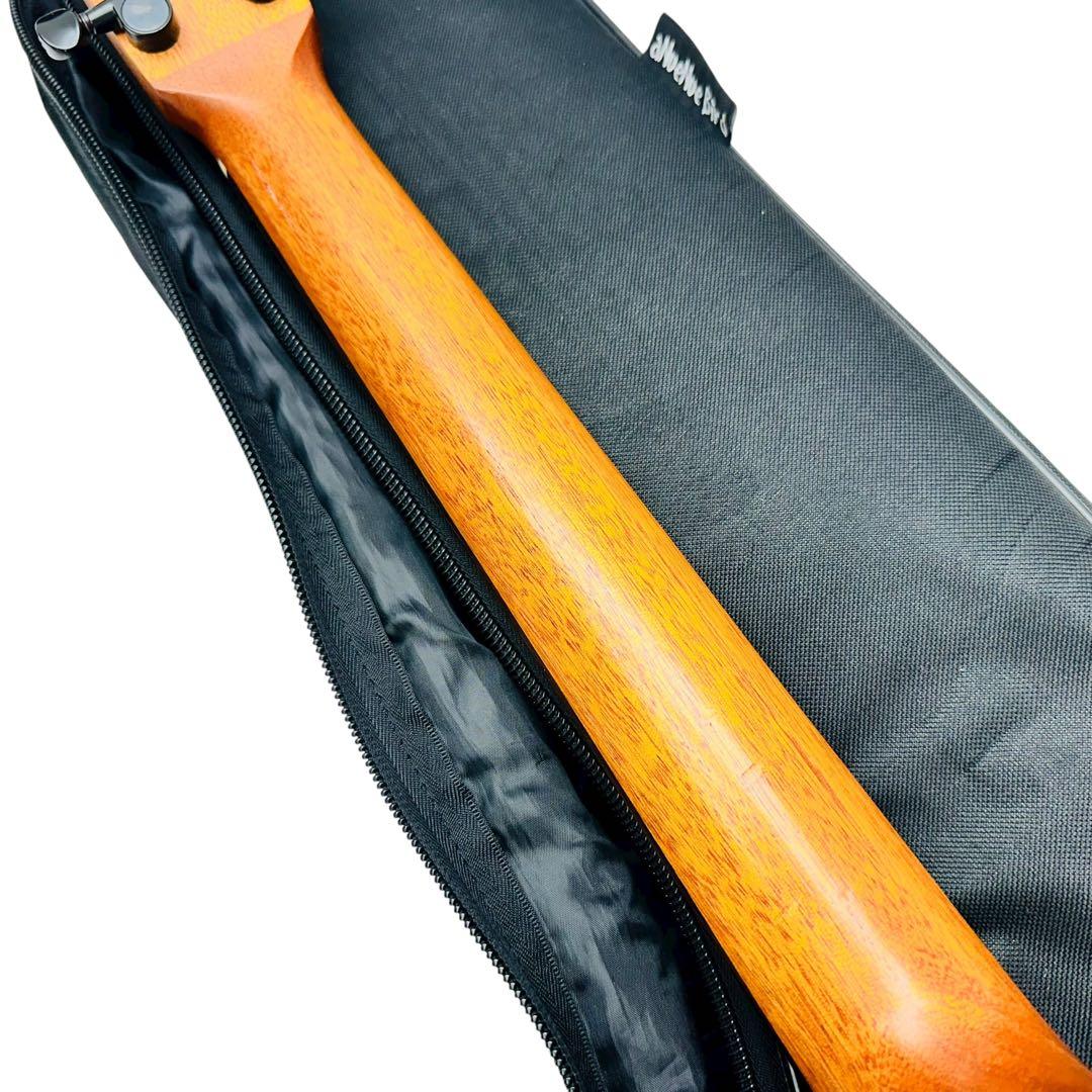 aNueNue aNN-M2 BirdGuitar ミニアコースティックギター