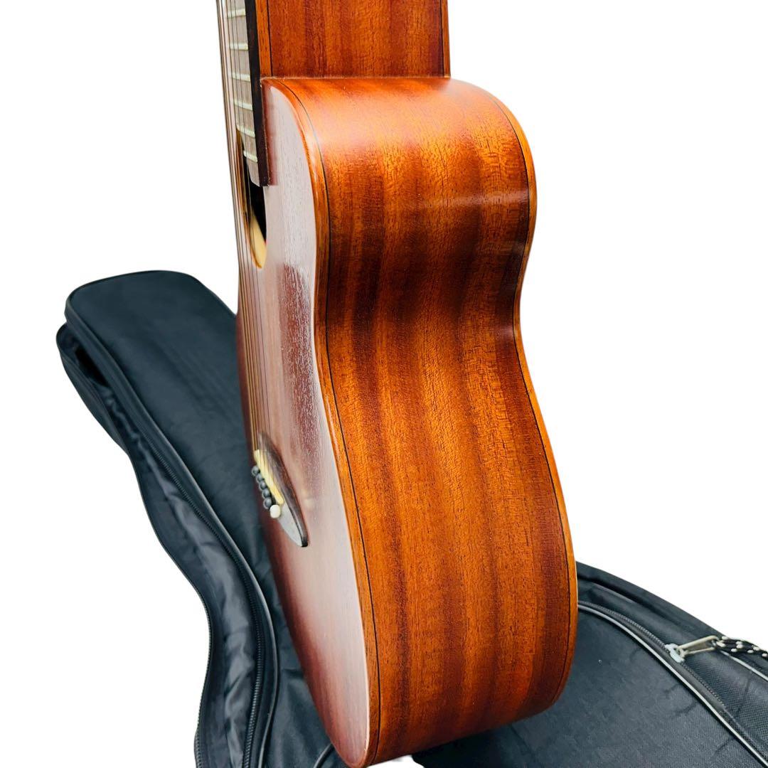 aNueNue aNN-M2 BirdGuitar ミニアコースティックギター