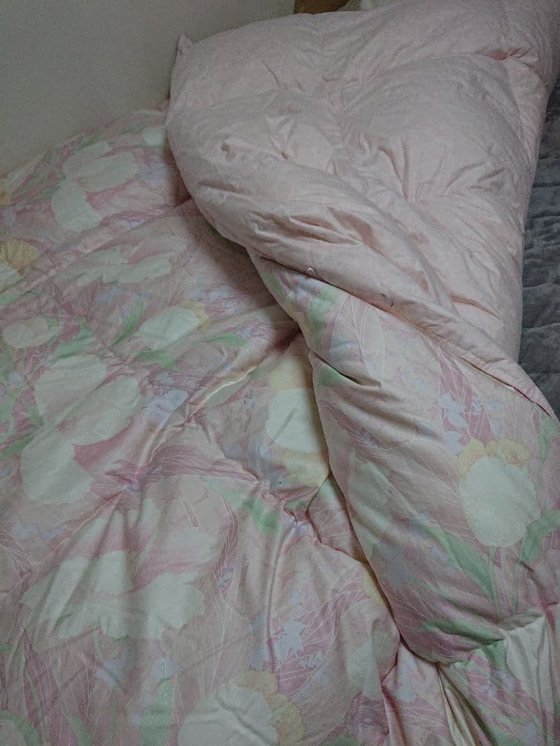 あ*ず様 羽毛布団 グース ダウン99％