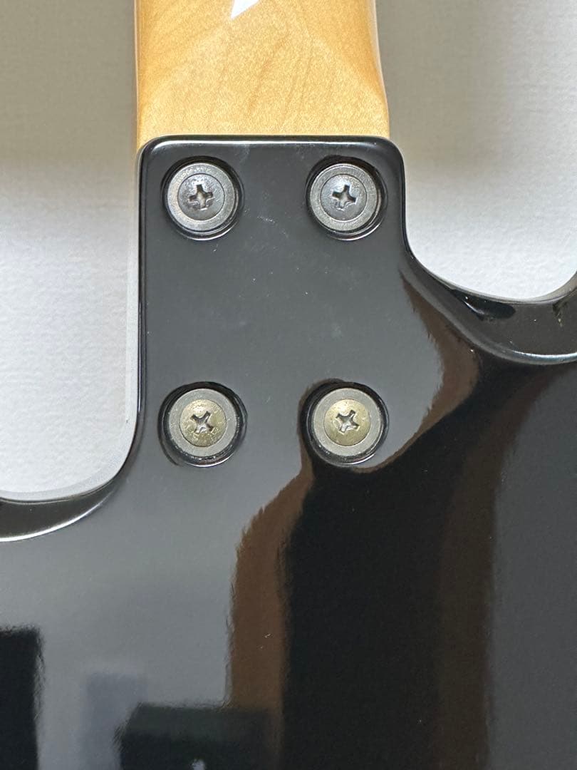 ネ*－様 Fernandes BURNY MG-80X EMG 純正ソフトケース