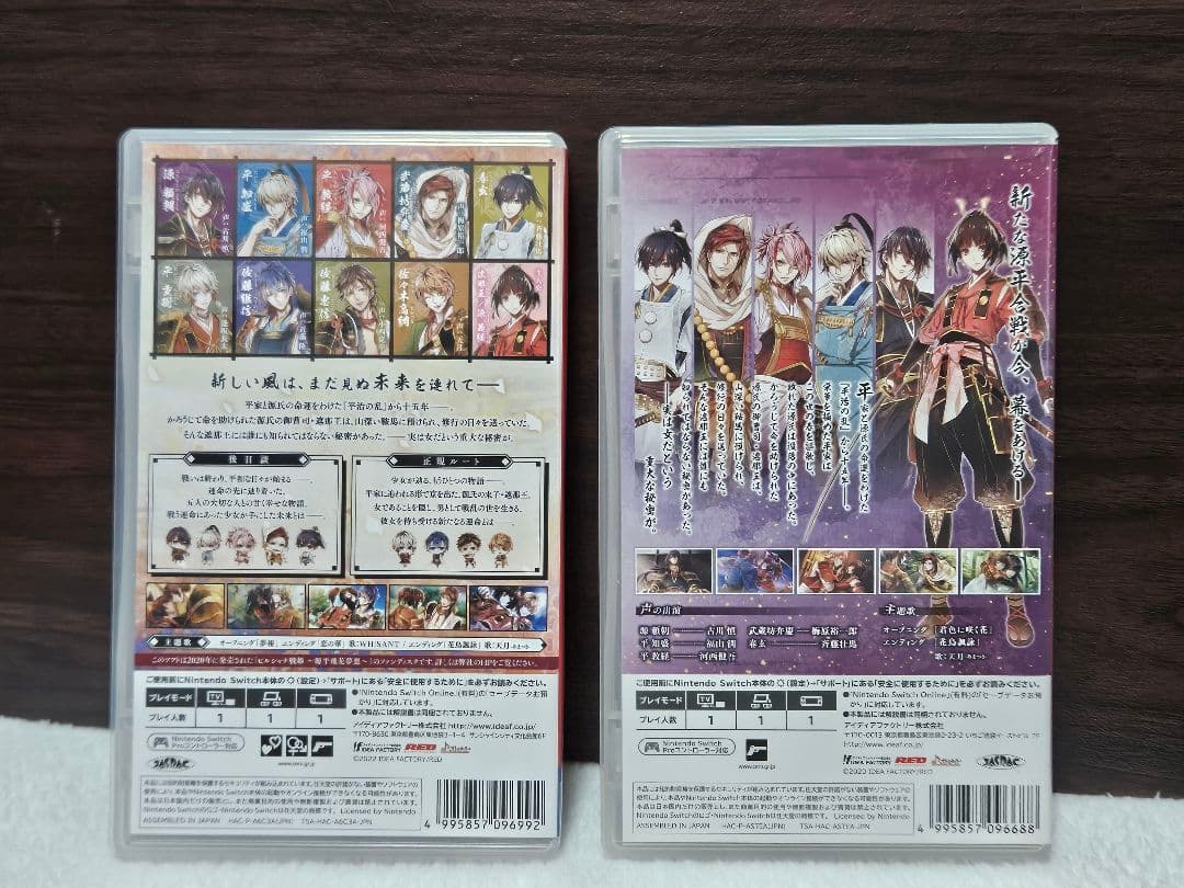 Nintendo Switchソフト ビルシャナ戦姫-2個セット