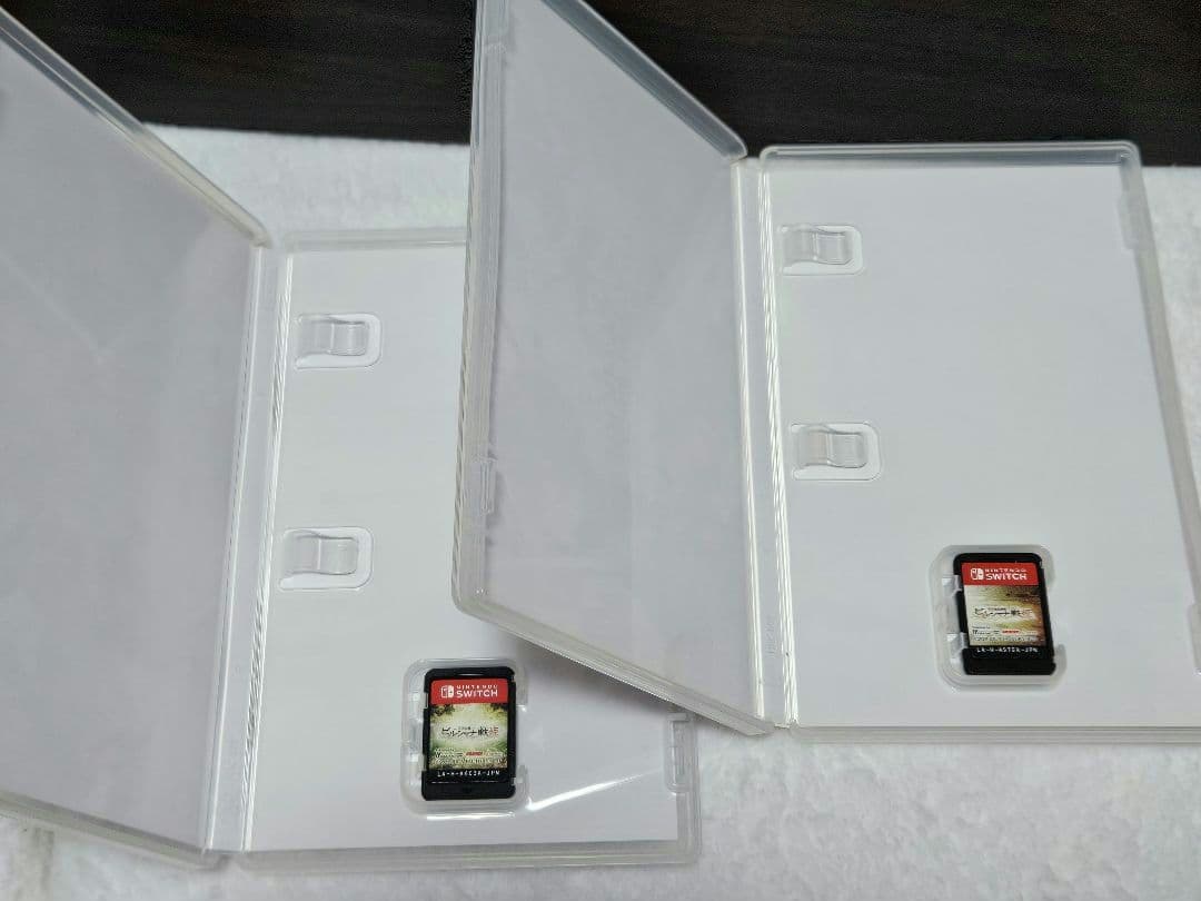 Nintendo Switchソフト ビルシャナ戦姫-2個セット