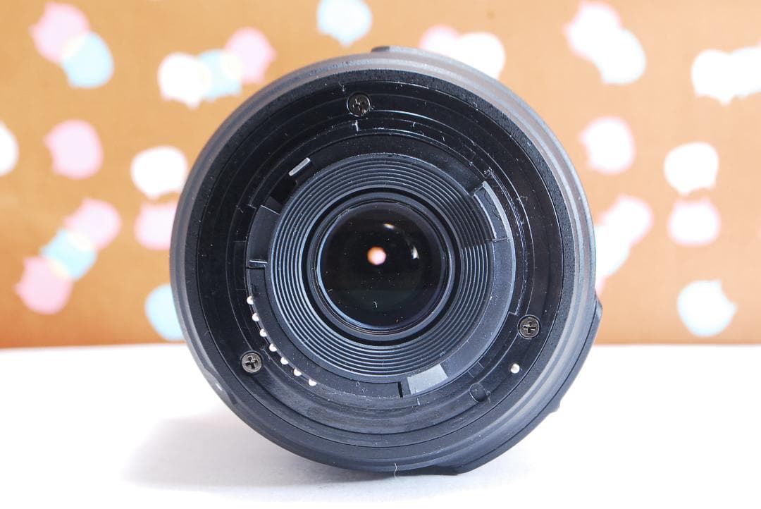 ✨ショット数1205回✨初心者オススメ✨Nikon D70s レンズセット