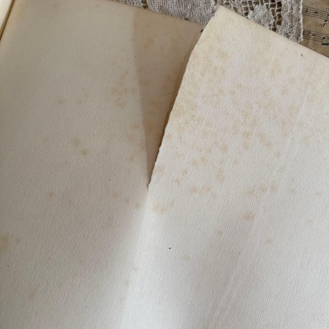 1911年アンティーク美しい絵本フランス語　洋書ジャンクジャーナル古書ルメール