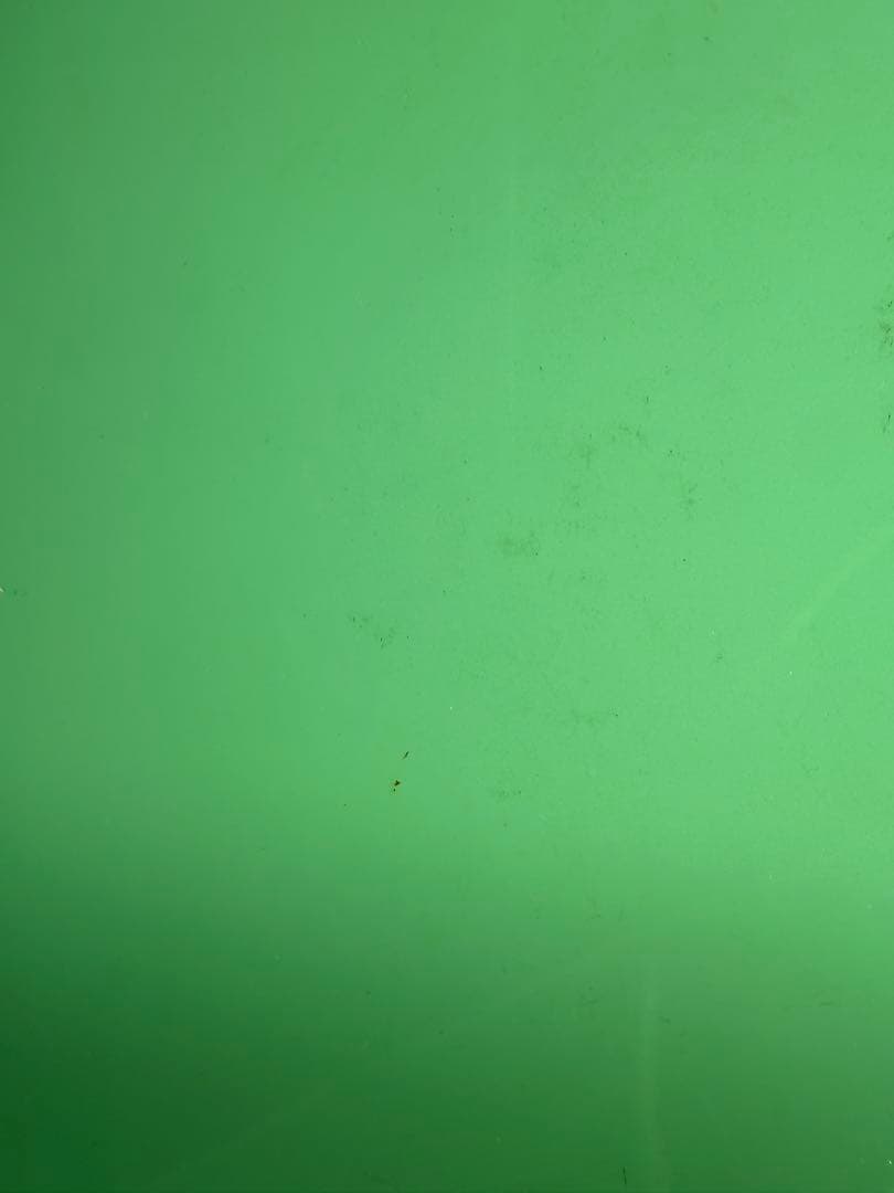 レア Karim Rashid バタフライチェア 水色