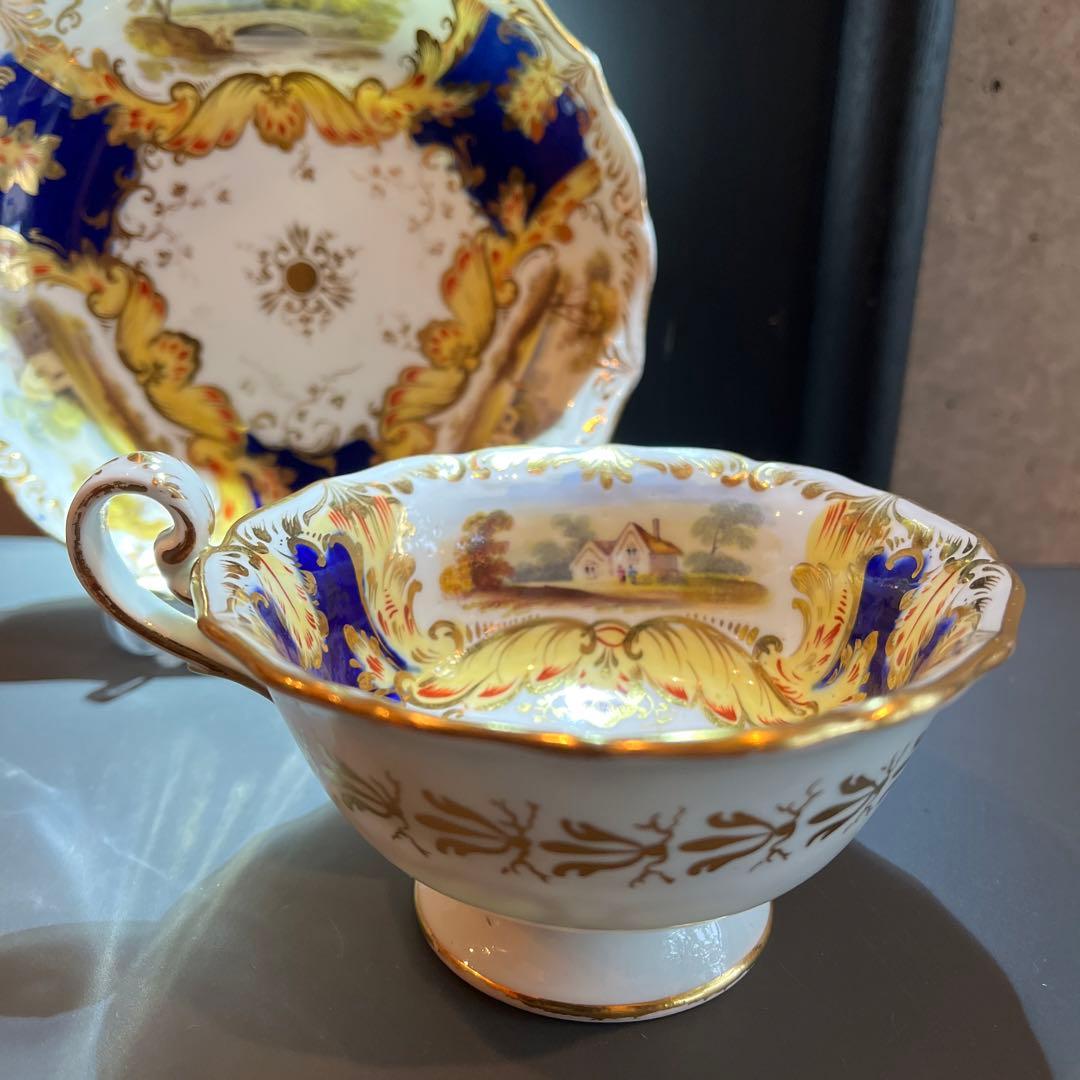 コールポート　アデレードシェイプ風景画　カップ＆ソーサー