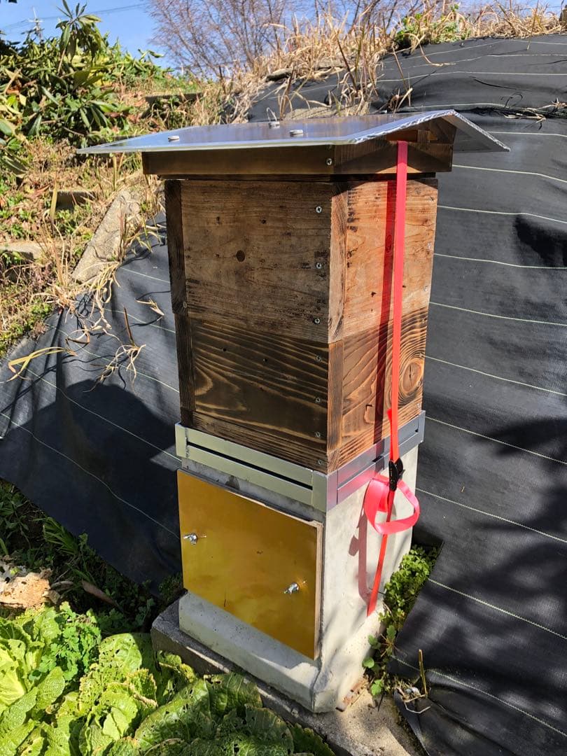 日本蜜蜂 重箱用4面巣門 30cm用